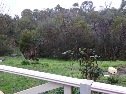 Mandall Avenue - Dalby Accommodation 1