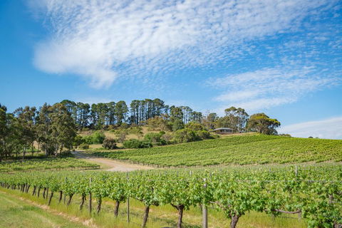 McLaren Vale Getaways - Dalby Accommodation 0