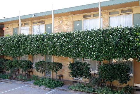 Mid City Motor Inn Queanbeyan - Dalby Accommodation 1