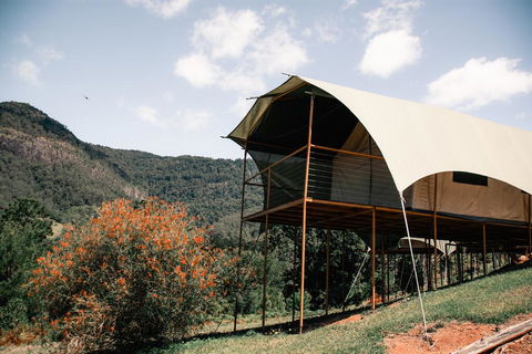 Midginbil Eco Resort - Dalby Accommodation 0