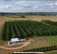 Millthorpe Truffles - Gorgeous getaway for 2 - Dalby Accommodation