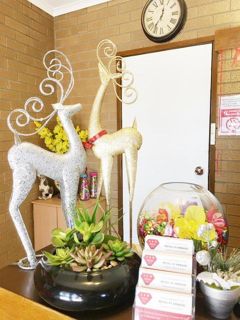 Motel St Arnaud - Dalby Accommodation 3