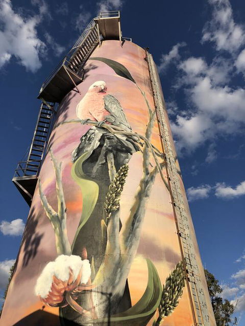 Moura Motel - Dalby Accommodation 1