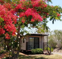 Mt Larcom Tourist Park - Dalby Accommodation