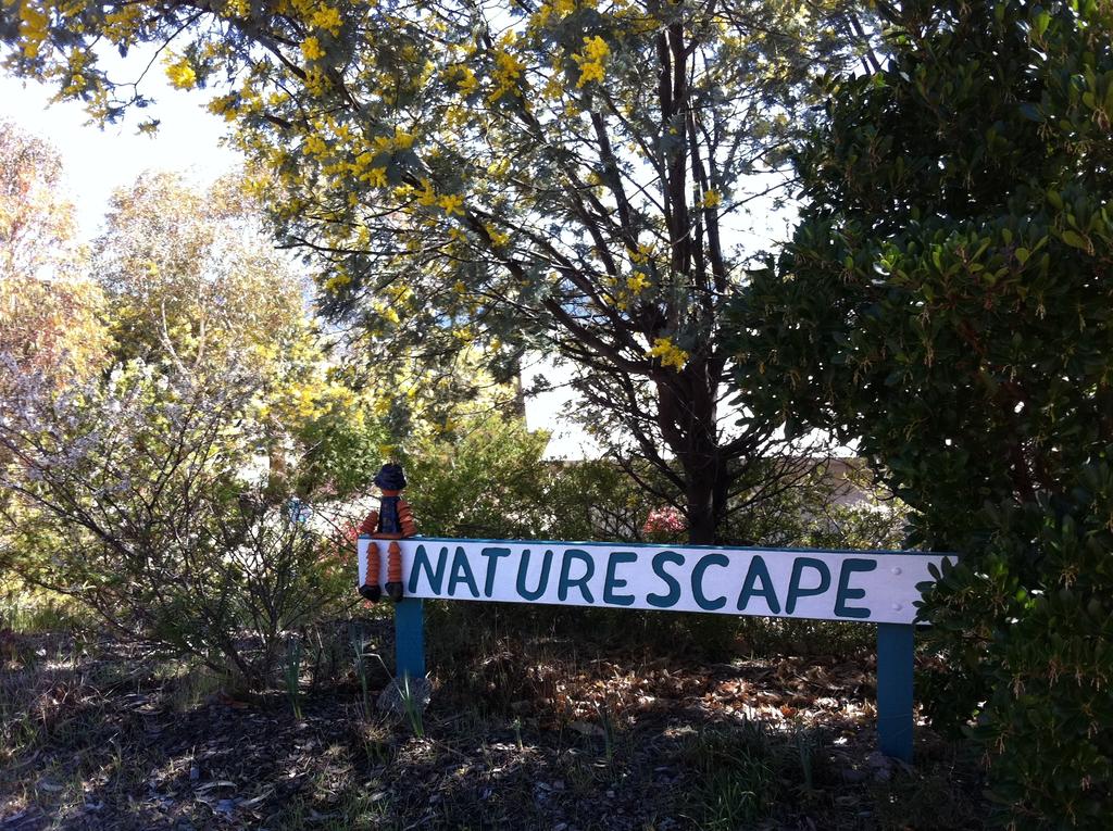Pilot Wilderness NSW Dalby Accommodation