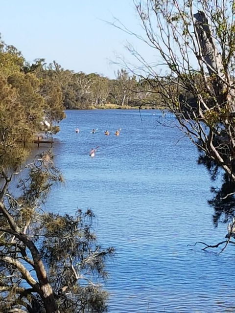 Jacaranda Hideaway Bed & Breakfast - Dalby Accommodation 19