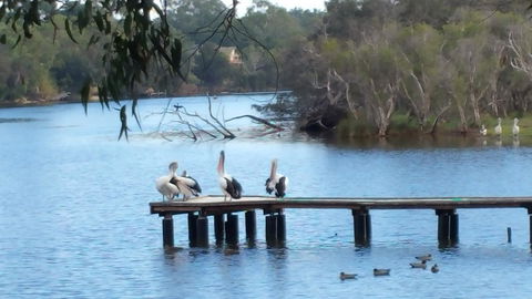 Jacaranda Hideaway Bed & Breakfast - Dalby Accommodation 18