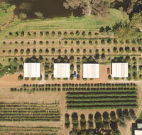 Swan Valley Sisters - Dalby Accommodation