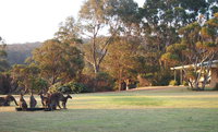 Book Walpole Accommodation Vacations Dalby Accommodation Dalby Accommodation