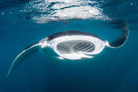 Peoples Park - Dalby Accommodation 32