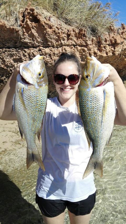 Peoples Park - Dalby Accommodation 30