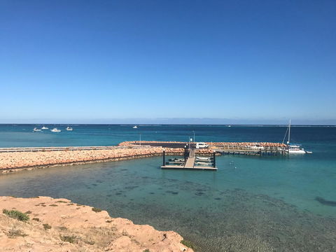 Peoples Park - Dalby Accommodation 35