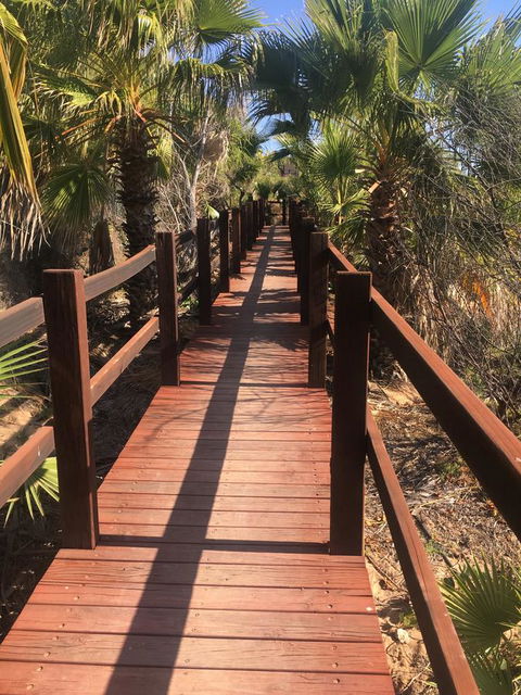 Peoples Park - Dalby Accommodation 10