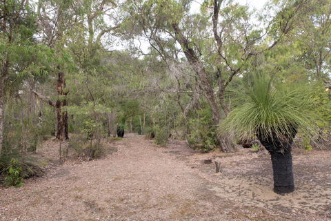 53 Martina Drive - Dalby Accommodation 30