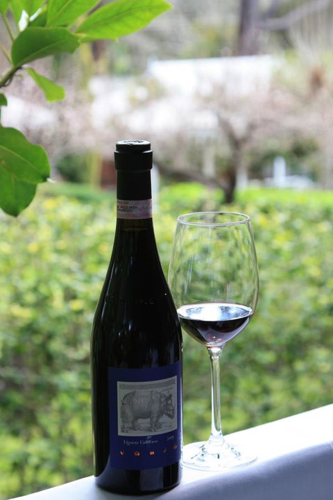 Two Sisters Chalets - Dalby Accommodation 30