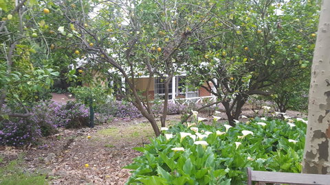 Two Sisters Chalets - Dalby Accommodation 15