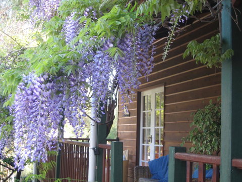 RoseMoore Bed & Breakfast - Dalby Accommodation 11