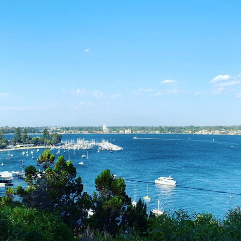 SEA BREEZE â€“ Between Cottesloe Beach & Swan River - Dalby Accommodation 23