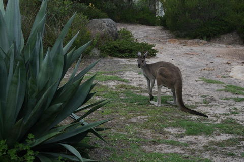 Aqua Views - Dalby Accommodation 15