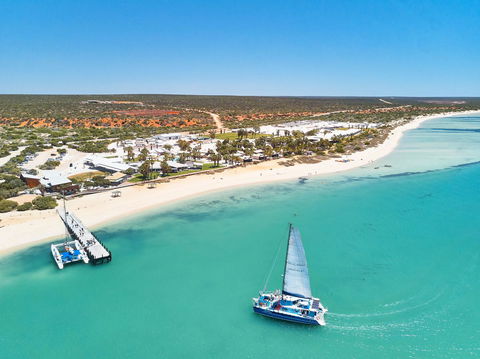 RAC Monkey Mia Dolphin Resort - Dalby Accommodation 44