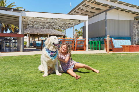 RAC Monkey Mia Dolphin Resort - Dalby Accommodation 35