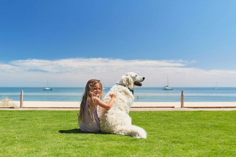 RAC Monkey Mia Dolphin Resort - Dalby Accommodation 36