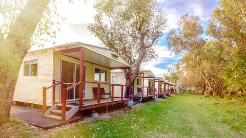 Australind Tourist Park - Dalby Accommodation 0
