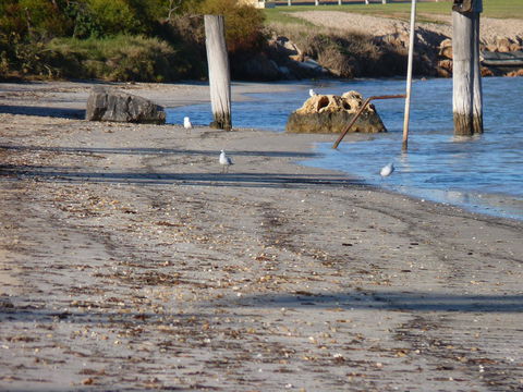 Leander Reef Holiday Park - Dalby Accommodation 6