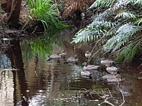Strahan Retreat Holiday Park - Dalby Accommodation 24