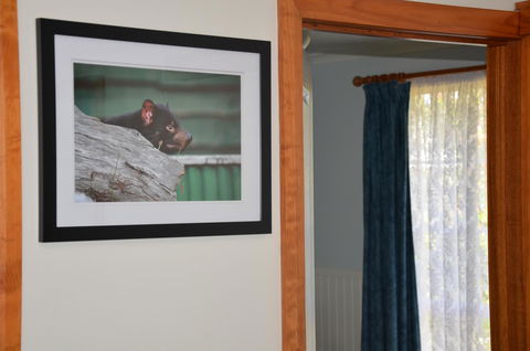 Castaway Holiday Apartments - Dalby Accommodation 3