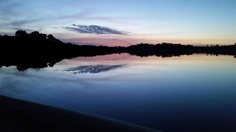 Castaway Holiday Apartments - Dalby Accommodation 5