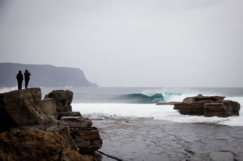 The Pear Cottage - Dalby Accommodation 22