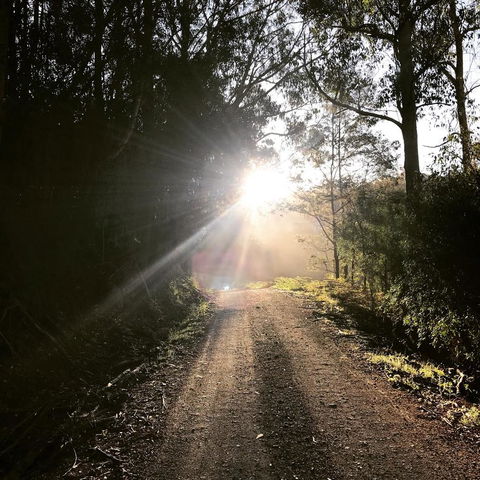 The Pear Cottage - Dalby Accommodation 23