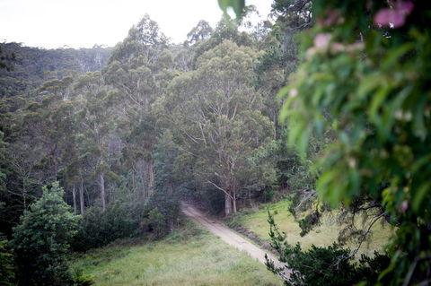 The Pear Cottage - Dalby Accommodation 19