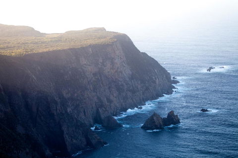 The Pear Cottage - Dalby Accommodation 20