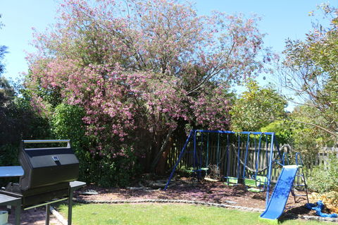 Sisters Beach Paradise - Dalby Accommodation 9
