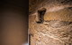 The Quarry Boutique Apartments - thumb 22