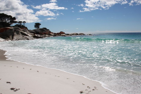 SEA EAGLE COTTAGE Amazing Views Of Bay Of Fires - Dalby Accommodation 14