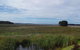 Pelican Point Sanctuary - thumb 21
