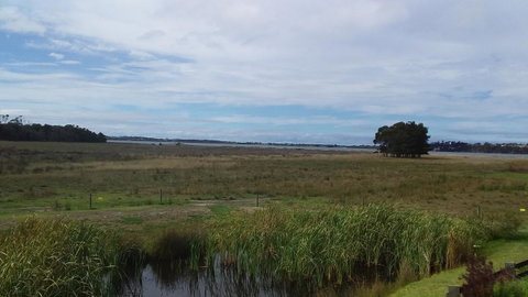 Pelican Point Sanctuary - Dalby Accommodation 21