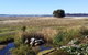 Pelican Point Sanctuary - thumb 7