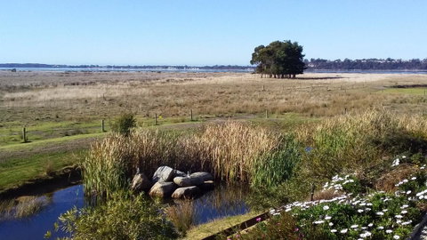 Pelican Point Sanctuary - Dalby Accommodation 7