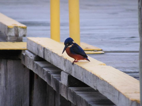 The Crays Accommodation - Dalby Accommodation 37