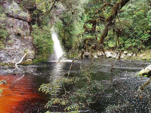 The Crays Accommodation - Dalby Accommodation 38