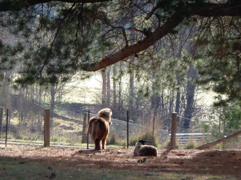 Post House Cottage - Dalby Accommodation 17