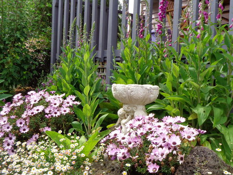 Post House Cottage - Dalby Accommodation 19