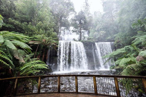 Post House Cottage - Dalby Accommodation 23