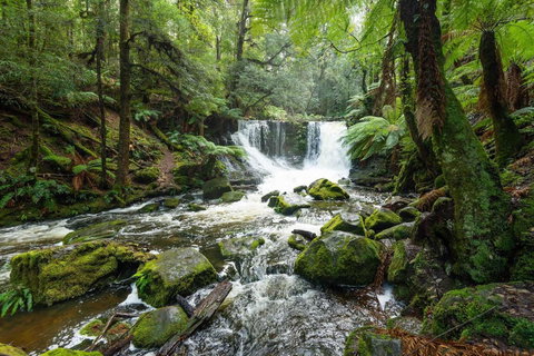 Post House Cottage - Dalby Accommodation 22