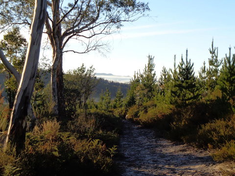 Post House Cottage - Dalby Accommodation 24