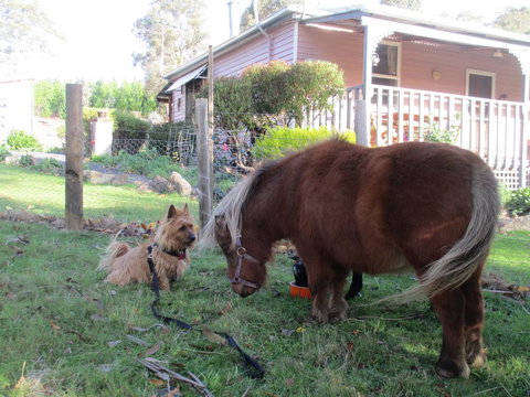 Post House Cottage - Dalby Accommodation 4